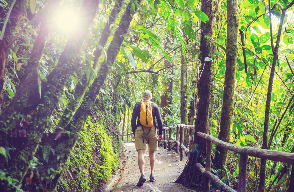 man hiking through forest along wooden path